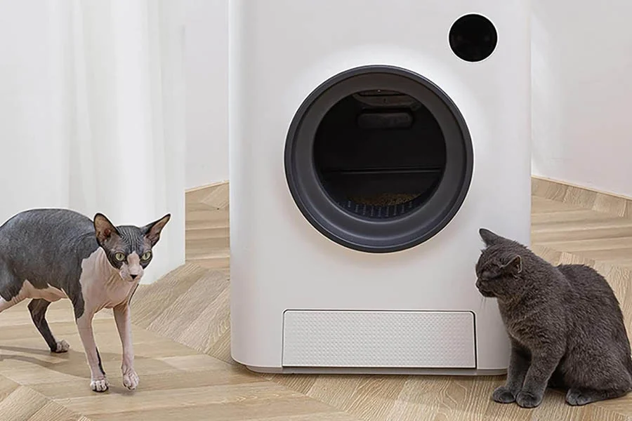 odor free litter box